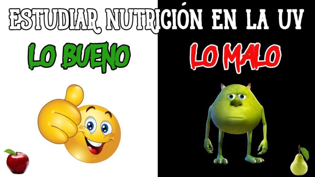 estudiar nutricion valencia