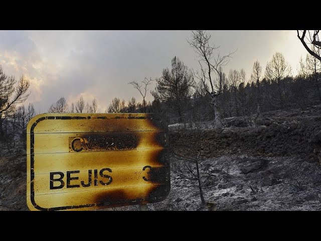 incendios comunidad valenciana mapa