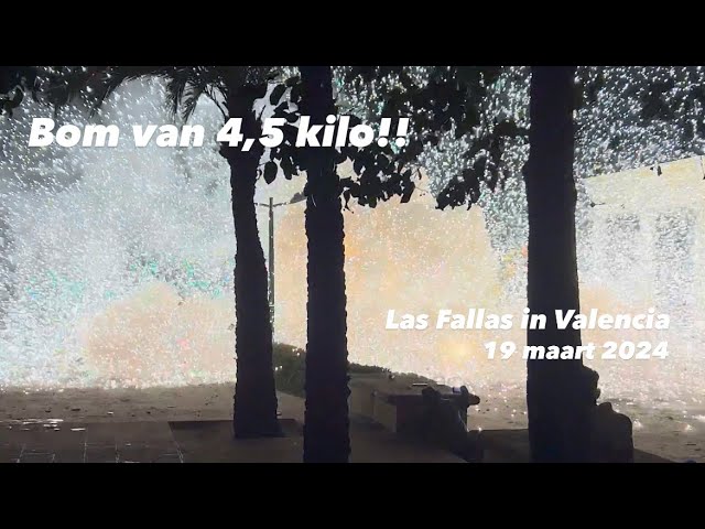 valencia en fallas 2024