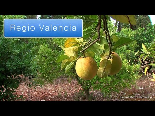 comunidad valenciana wikipedia