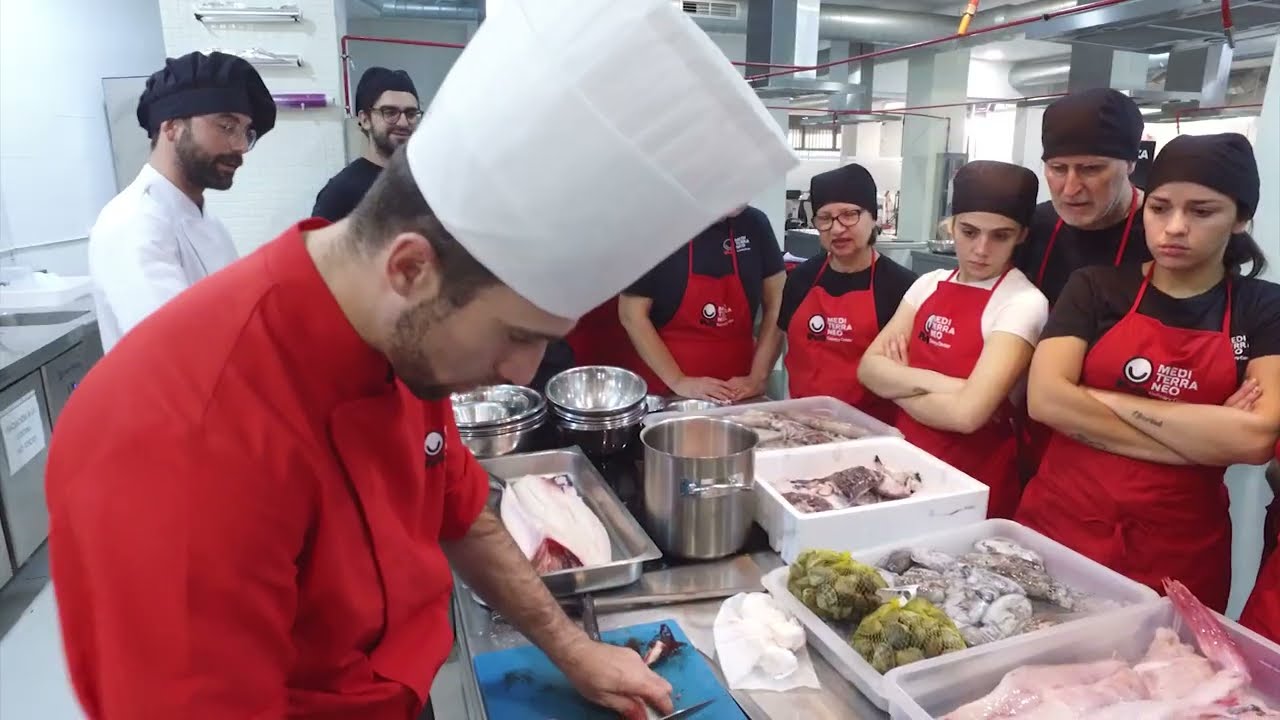 estudiar-cocina-valencia - Valencia Noticias 24h estudiar cocina valencia