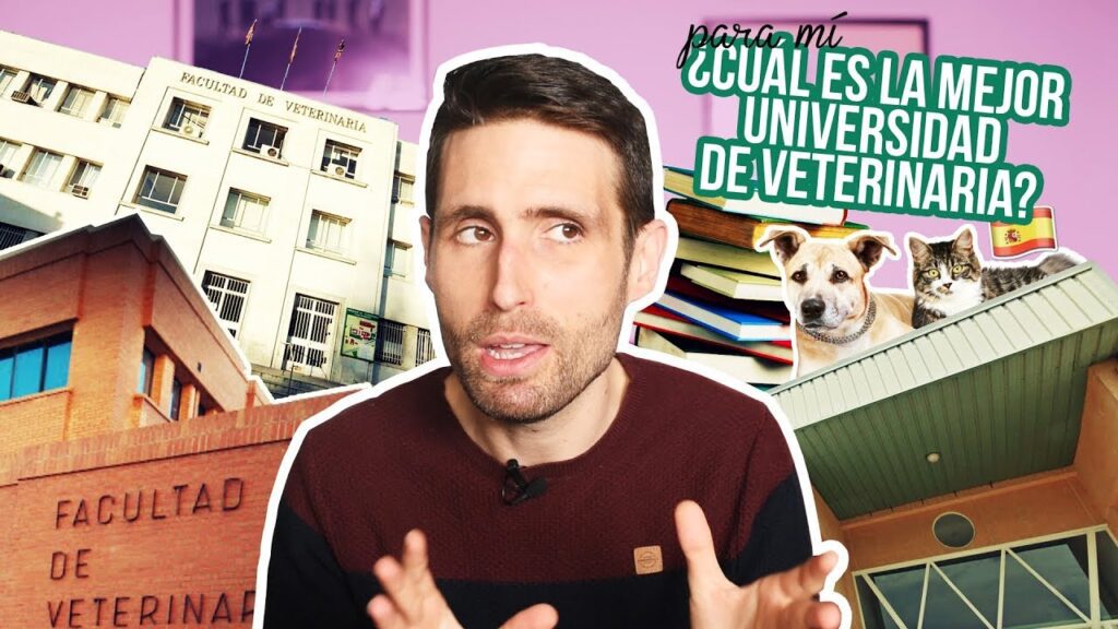 estudiar veterinaria en valencia pública