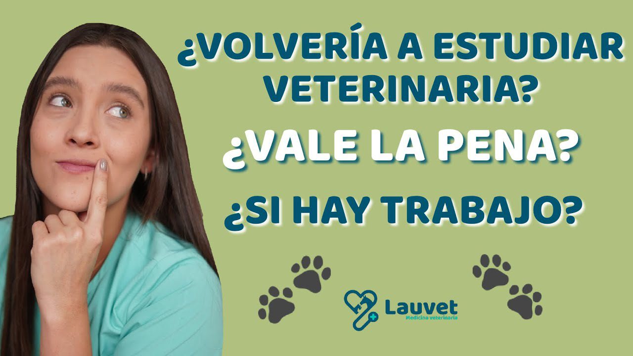 estudiar-veterinaria-valencia-venezuela - Valencia Noticias 24h estudiar veterinaria valencia venezuela