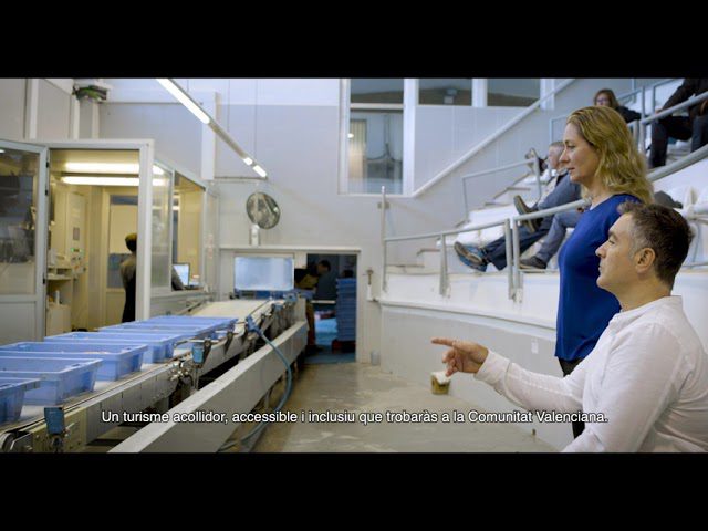 turismo-accesible-valencia - Valencia Noticias 24h turismo accesible valencia