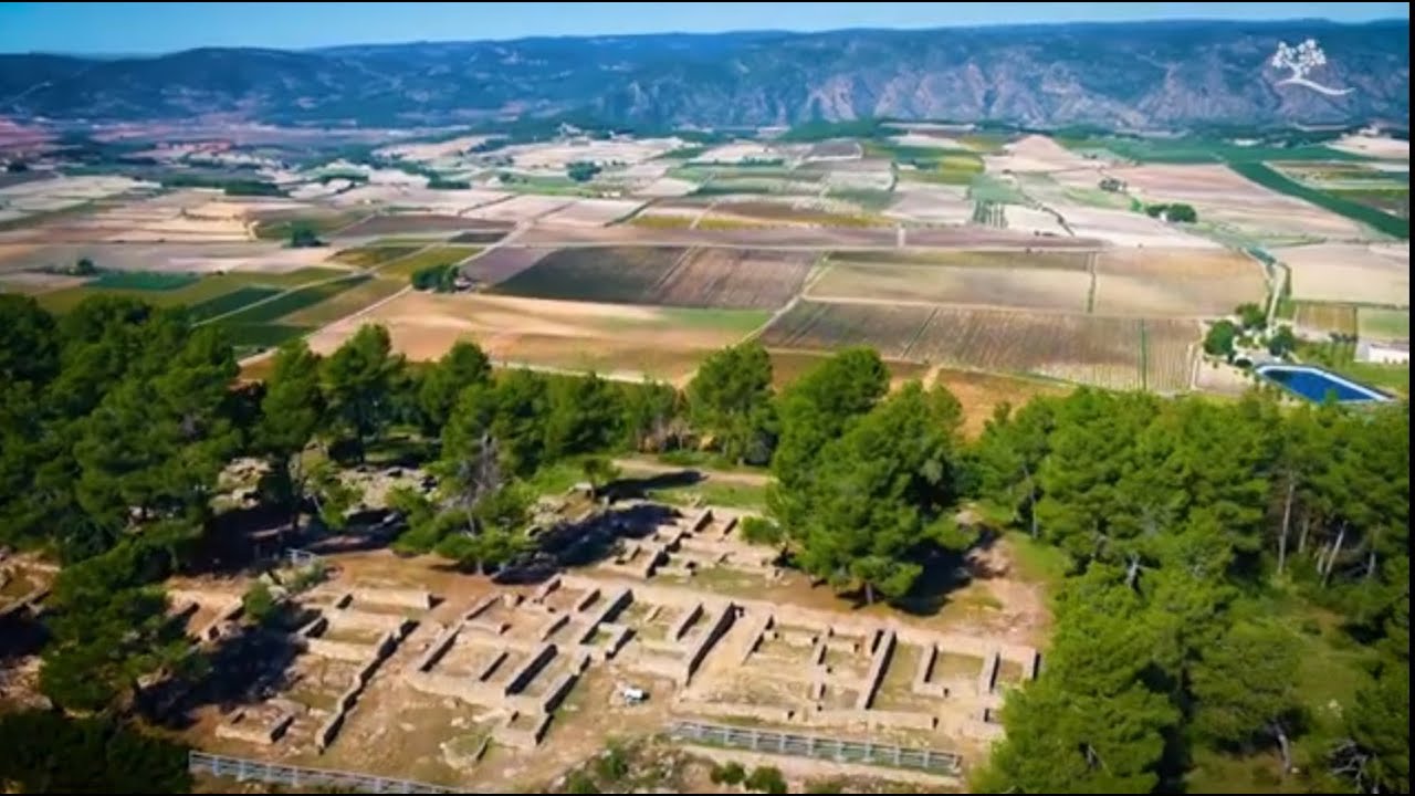 turismo enologico valencia