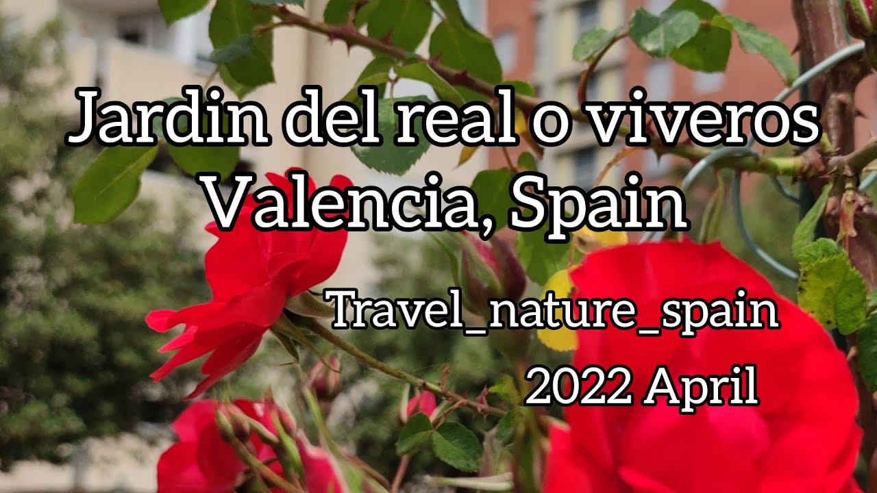 viveros en valencia y alrededores