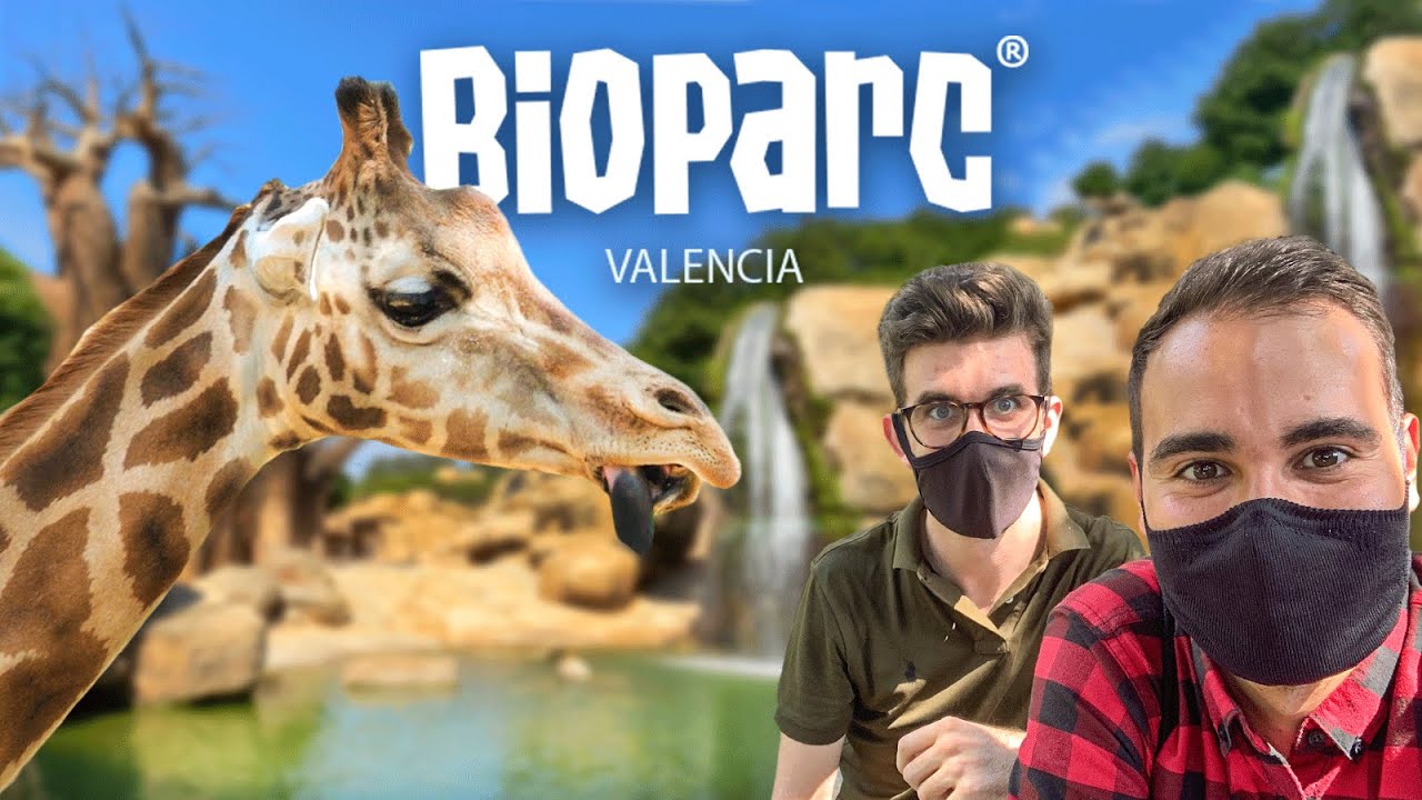 zoo-comunidad-valenciana - Valencia Noticias 24h zoo comunidad valenciana