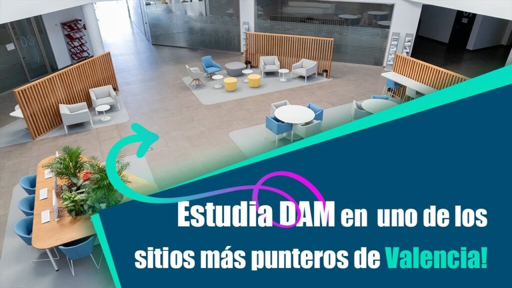 estudiar dam valencia
