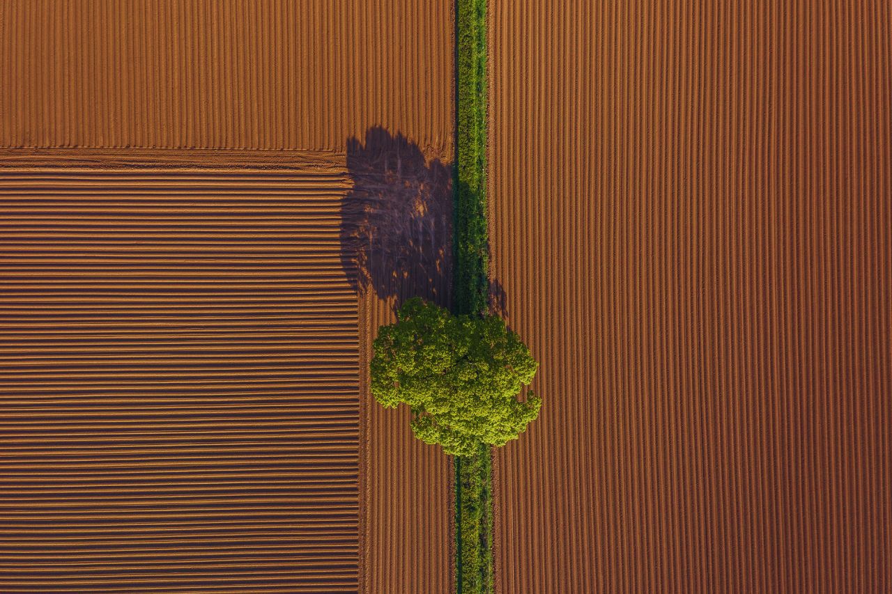 700405 - Farmer Technology - Valencia Noticias 24h
