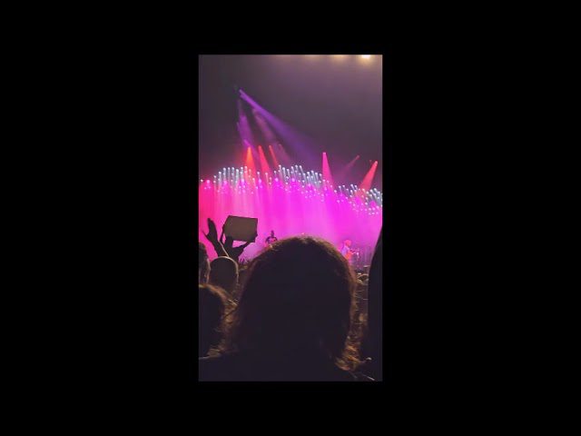 conciertos valencia la marina 2024