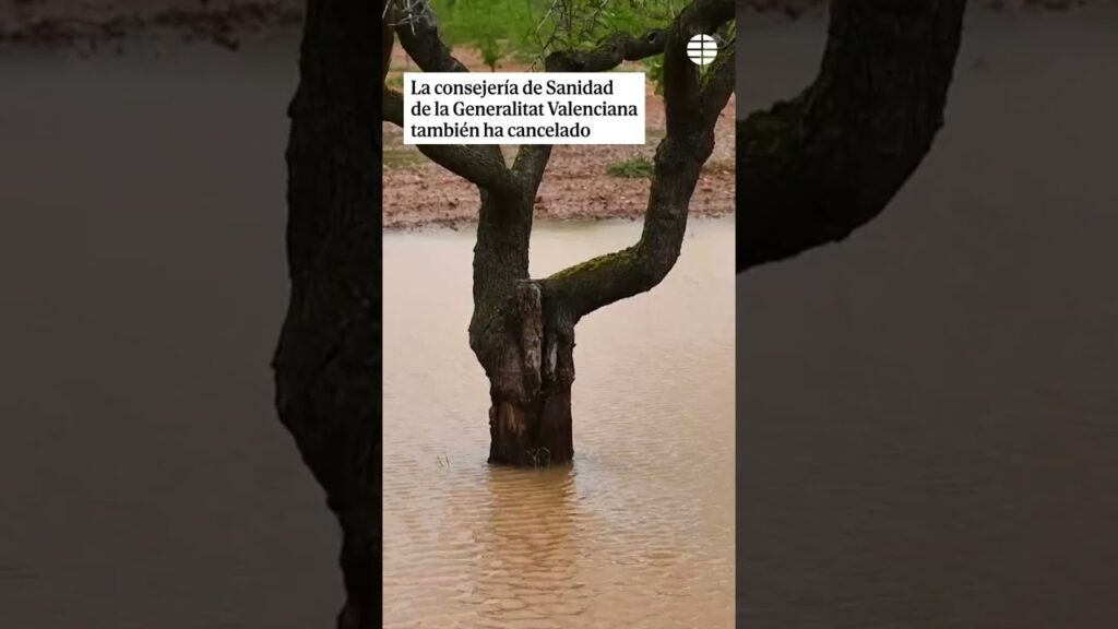 en valencia estamos en alerta