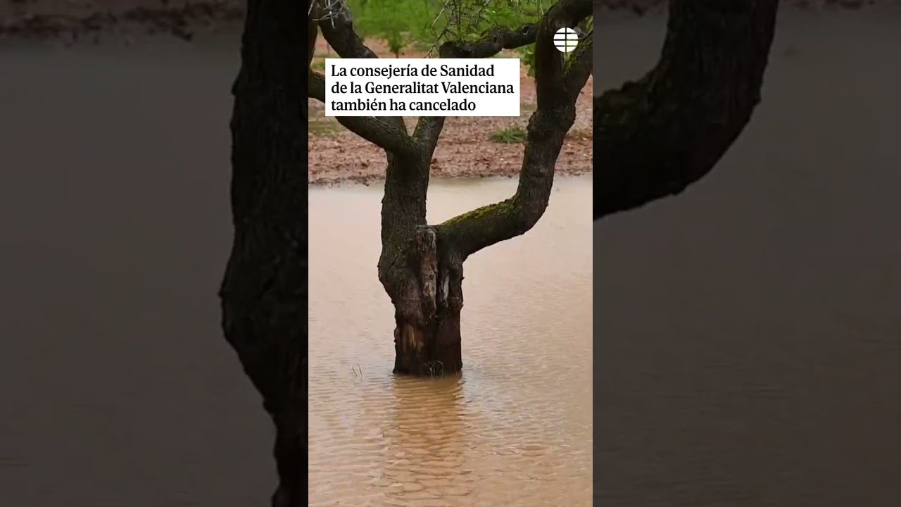en-valencia-estamos-en-alerta - Valencia Noticias 24h en valencia estamos en alerta