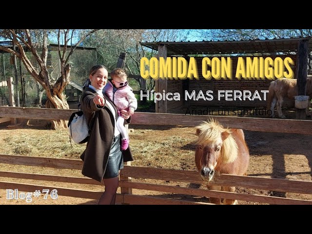 restaurante-hipica-valencia - Valencia Noticias 24h restaurante hipica valencia