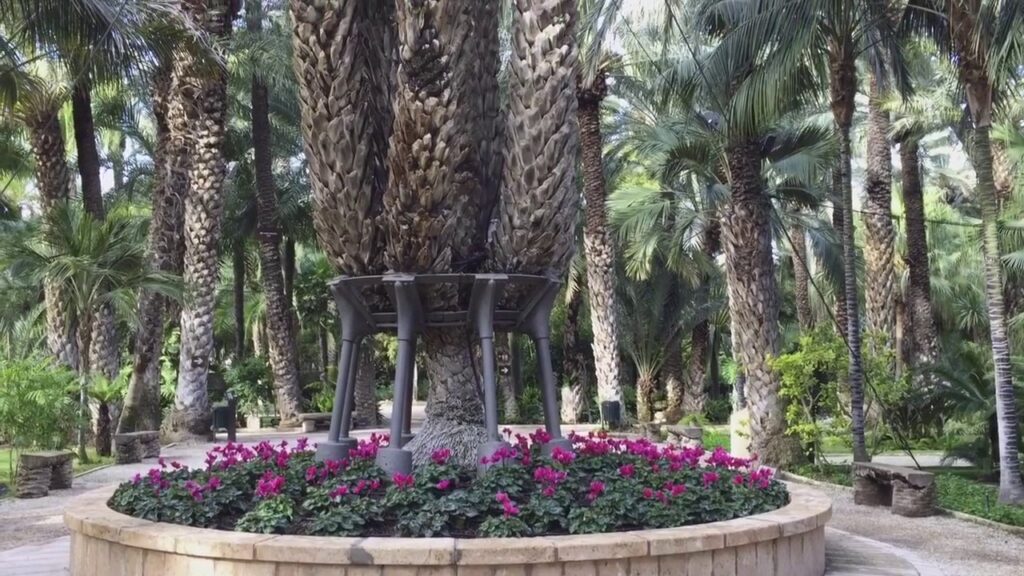 lugares históricos para visitar en Elche si buscas tranquilidad