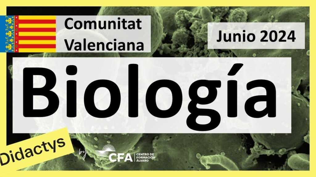 comunidad valenciana selectividad
