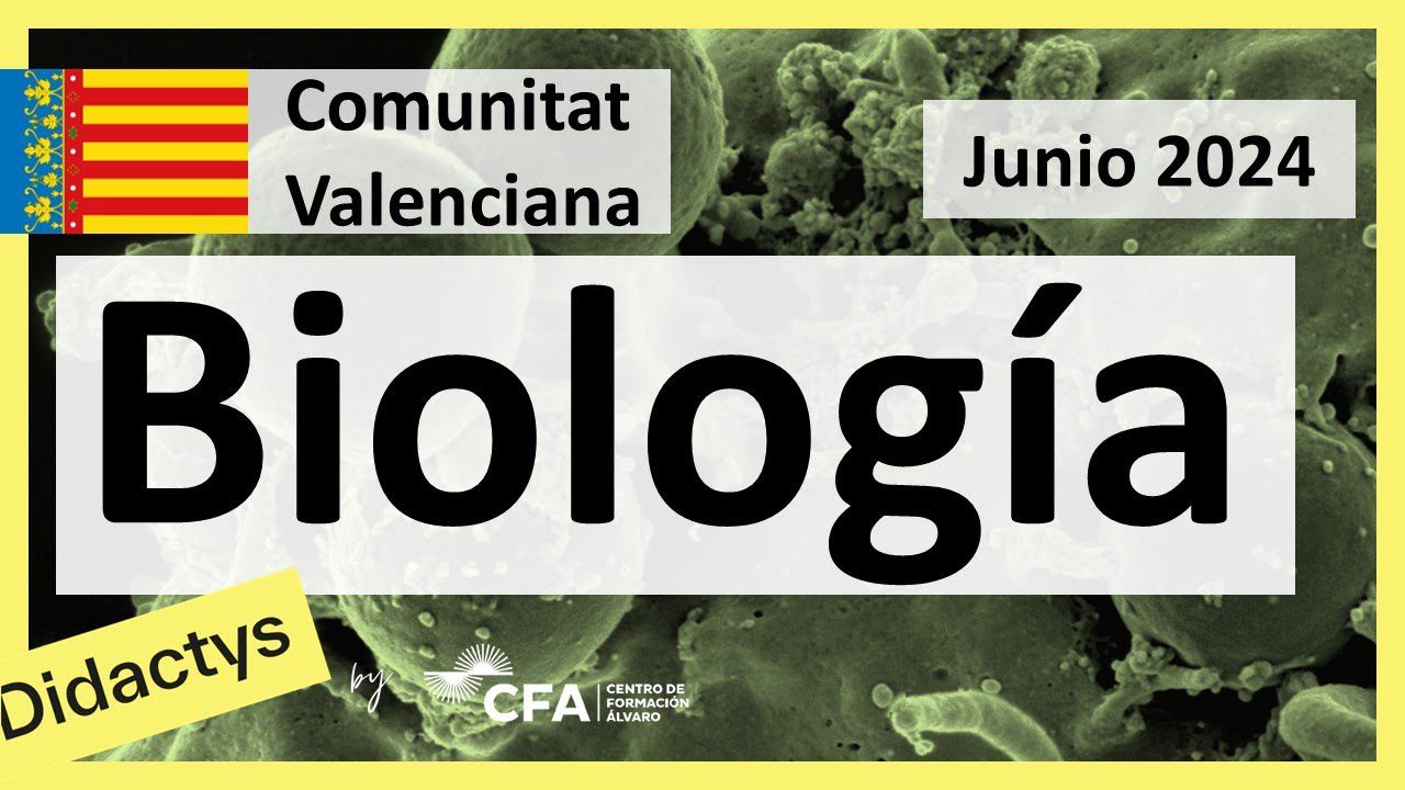 comunidad-valenciana-selectividad - Valencia Noticias 24h comunidad valenciana selectividad