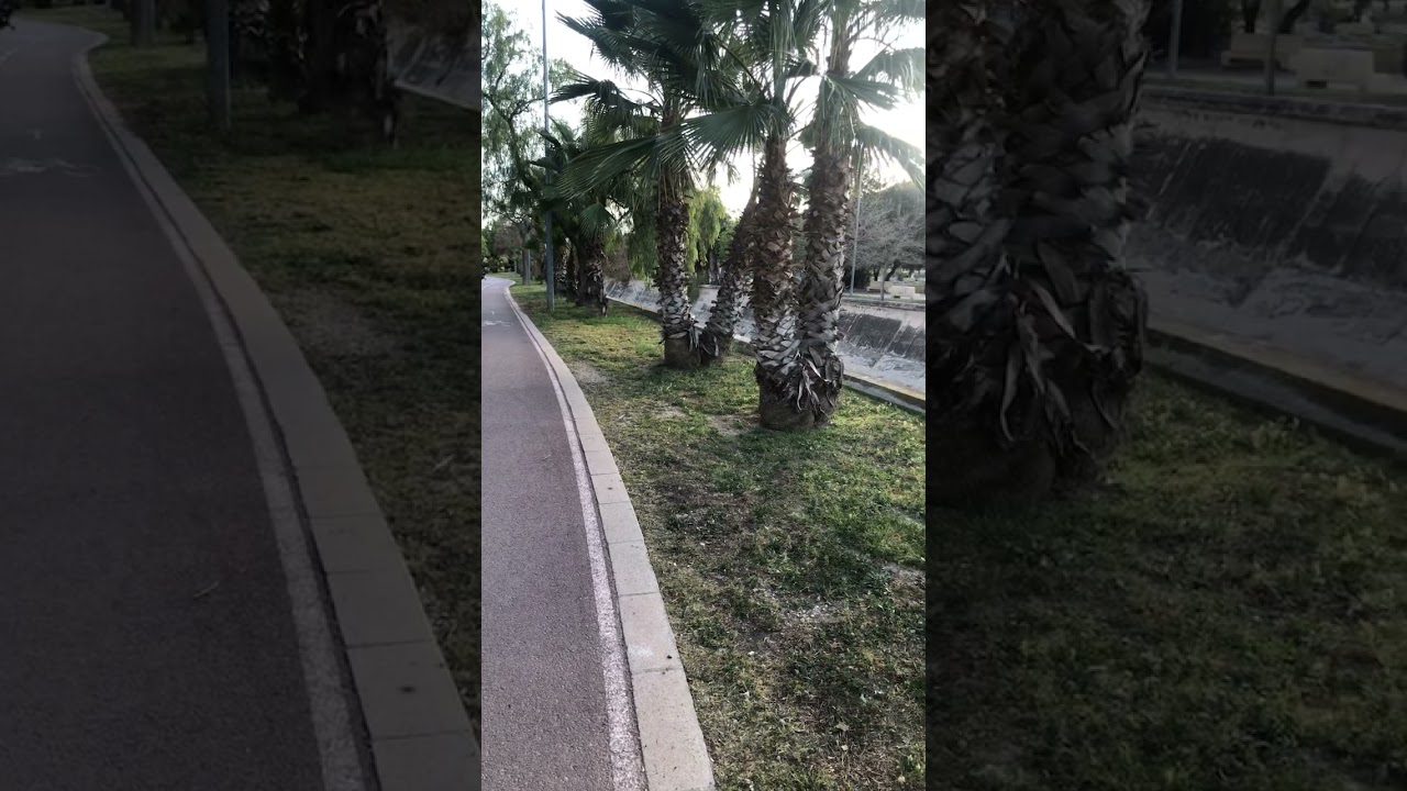 que-hacer-en-Elda-en-invierno - Valencia Noticias 24h qué hacer en Elda en invierno