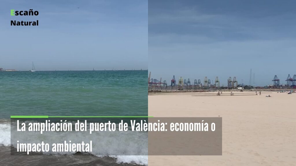 qué factores afectan a Importancia del puerto de Valencia en la economía regional