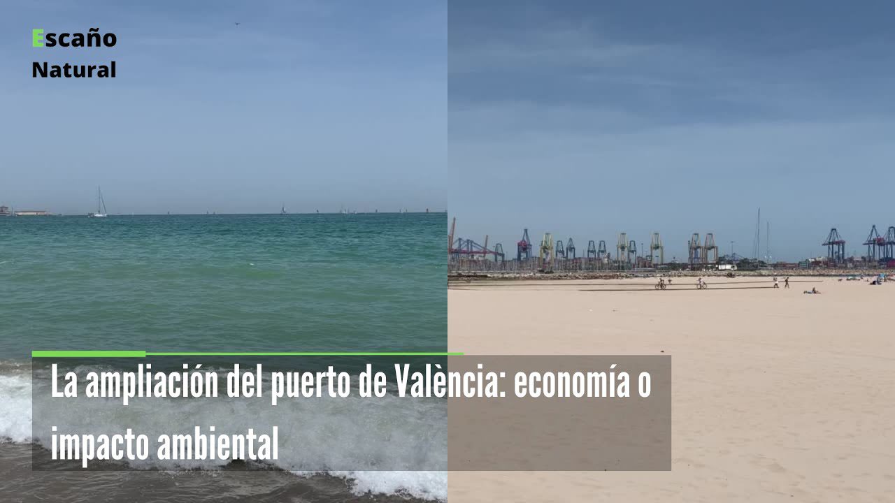 que-factores-afectan-a-Importancia-del-puerto-de-Valencia-en-la-economia-regional - Valencia Noticias 24h qué factores afectan a Importancia del puerto de Valencia en la economía regional