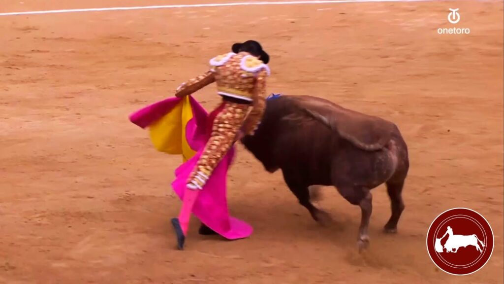conciertos valencia 2024 plaza de toros